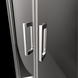 Душові двері RADAWAY Premium Pro DWJ 100 см скло прозоре 1014100-01-01R