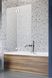 Стеклянная шторка для ванны RADAWAY Essenza Pro PND II 100 10102100-01-01L